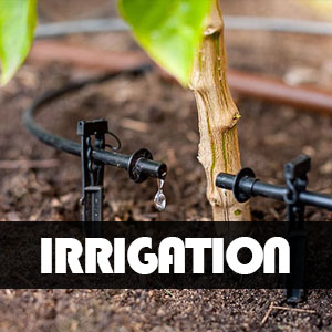 Services Irrigation