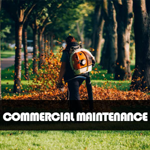 Services Commercial Maintenance